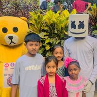crash_faysal_10