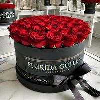 florida_guller