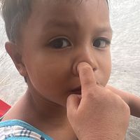 suara asli
