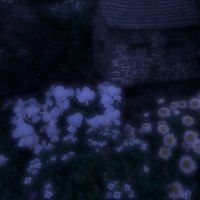 kuu.019