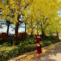 오리지널 사운드 - ❤灵漫游⚘마음힐링