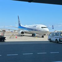 オリジナル楽曲 - 躑躅鑓藪グランドひかり