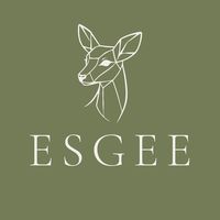 esgeeartdesign