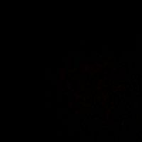 _gabriely200