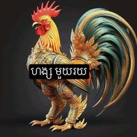 minirooster789