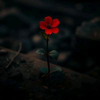 story.up2u
