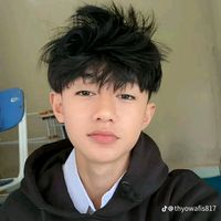 thyo240