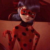 ladybug_xxtikki
