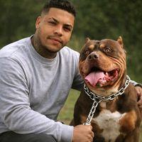 bullybullkennel