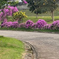 suara asli - fadeelaa_h