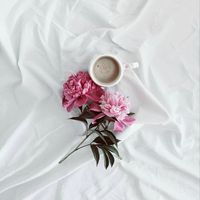 suara asli - sazay💗