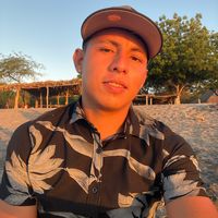 bayardorojas246