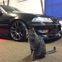 оригинальный звук