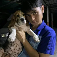 original sound - nussx.8789