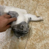 nhạc nền - hận vq 🤬