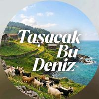 orijinal ses