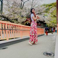 original sound - I 'm DuNi👀🧚‍♀️