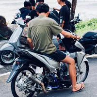 original sound - variovenom