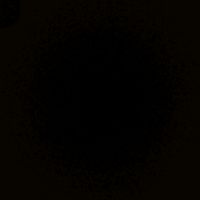 suara asli - tedyzamroni