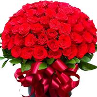 nadirflower