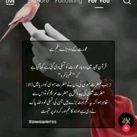 amnaamna032