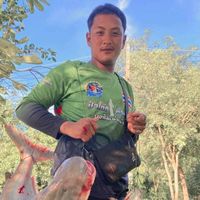 userps49lcfxtj