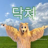 캡컷 템플릿