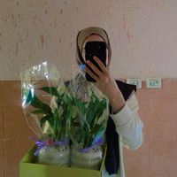 argoan_plants