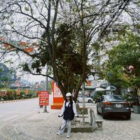 nhạc nền - enaylabong