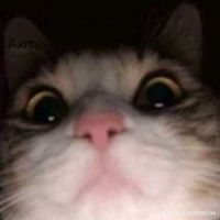 เสียงต้นฉบับ - เนส💐