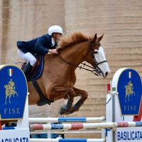 federico_di_donato_