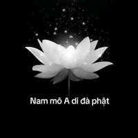nhạc nền - ngok!đừng làm đau người thương