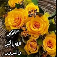 user8028266596186