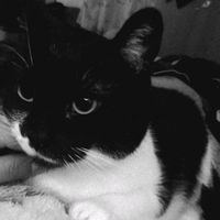 fancams.de.surwaysurf