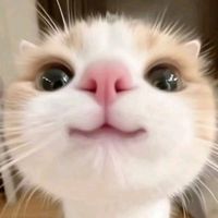 mynamispeiting