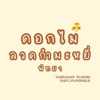 เสียงต้นฉบับ - babyflowerr.r