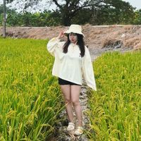 dtkh12.6