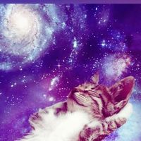 star._.p00rv1_