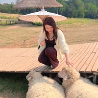 เสียงต้นฉบับ - นู๋นา