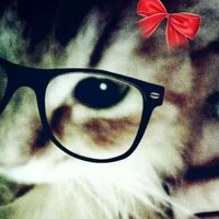 _zebjinx