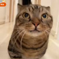 オリジナル楽曲