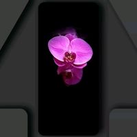 khanhnhu1123