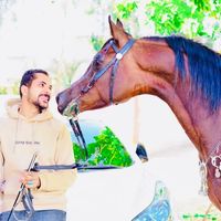 ahmedasaker_333