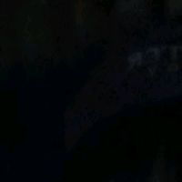 original sound - ️