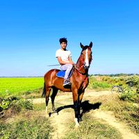 aungpyaesone6833