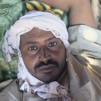 الصوت الأصلي