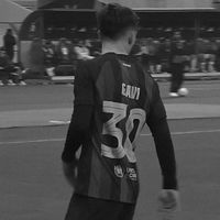 الصوت الأصلي