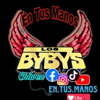 en.tus.manos2
