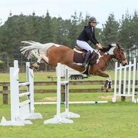 mollyp_eq