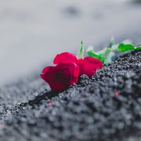 オリジナル楽曲 - Hirano Takanari